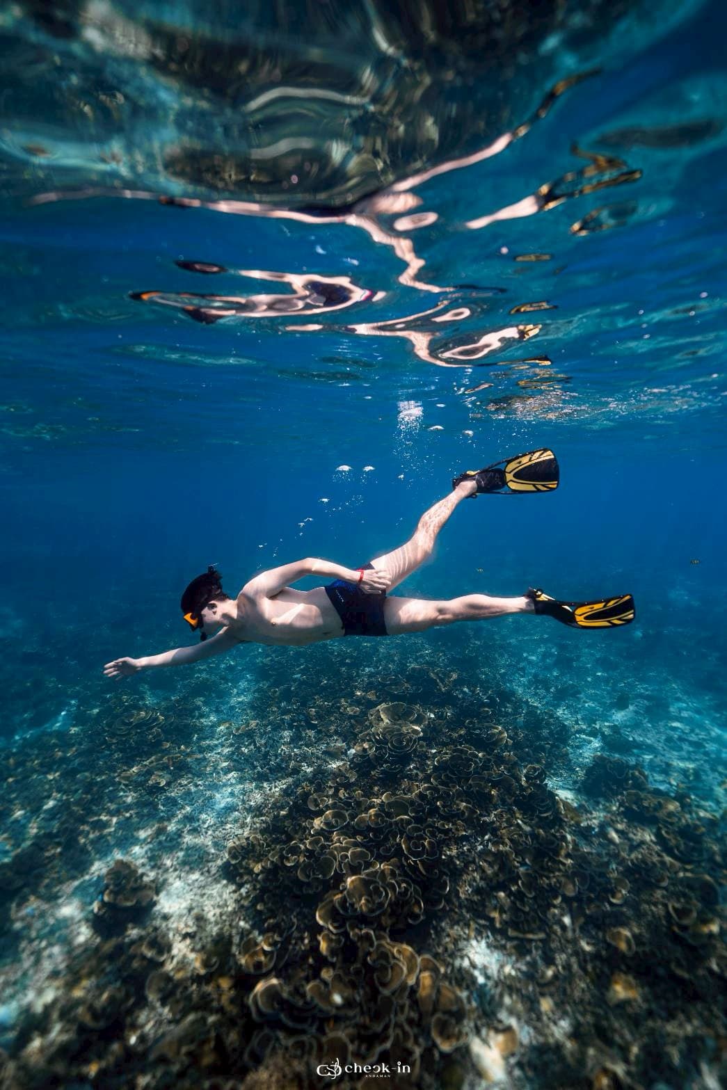 Similan Fundive (Join Group)