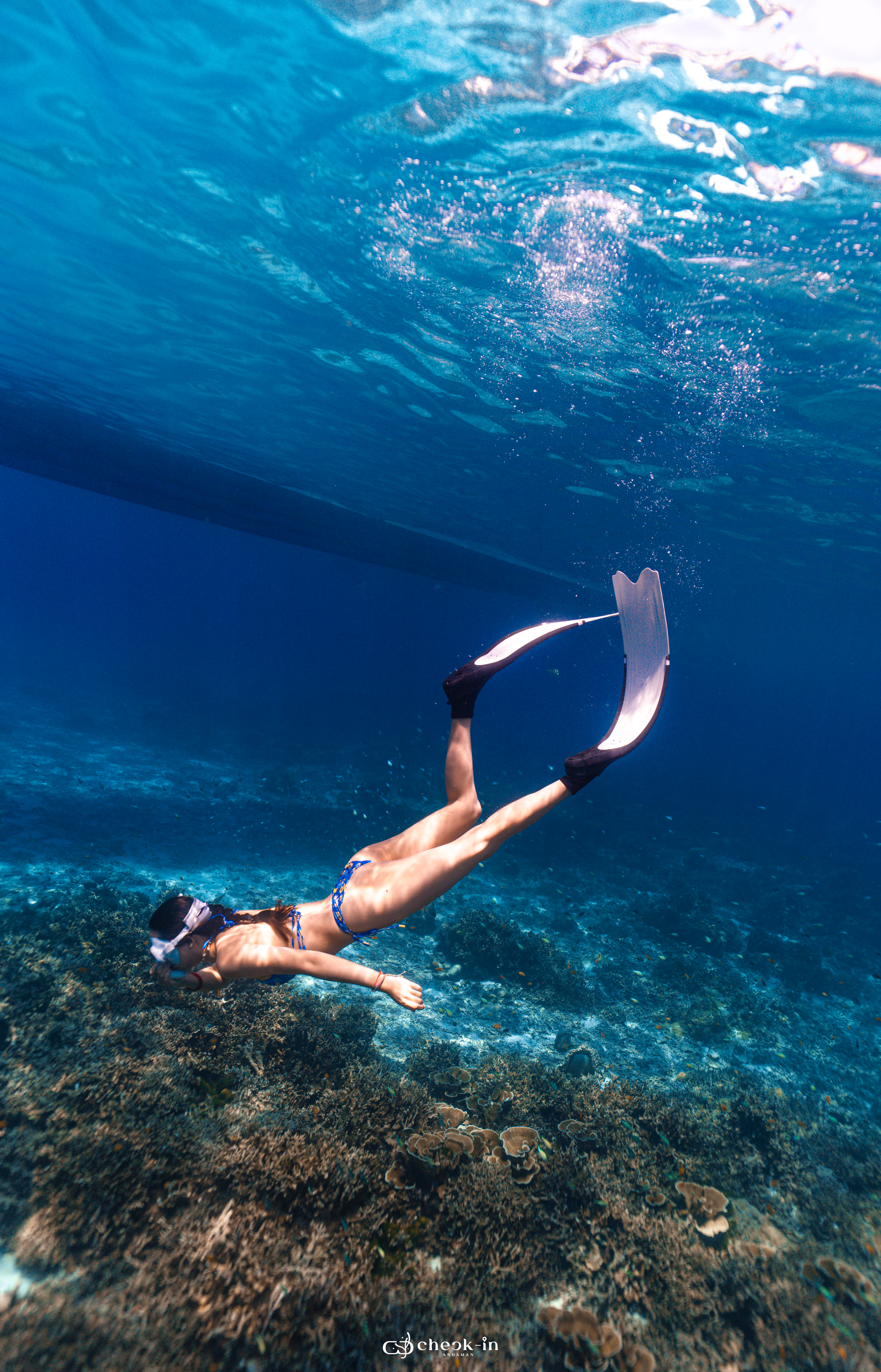 Similan Fundive (Join Group) - 3