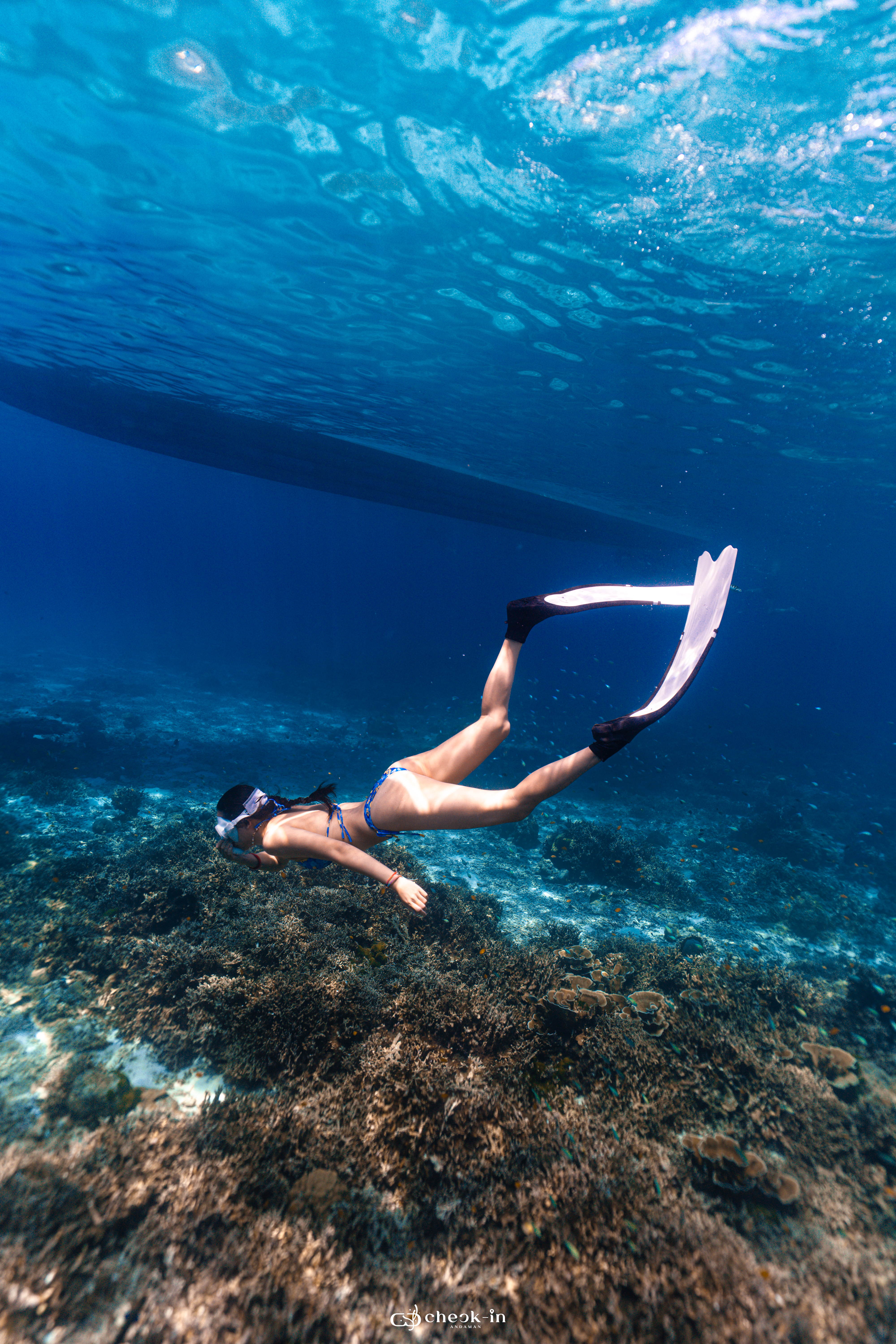 Similan Fundive (Join Group) - 4