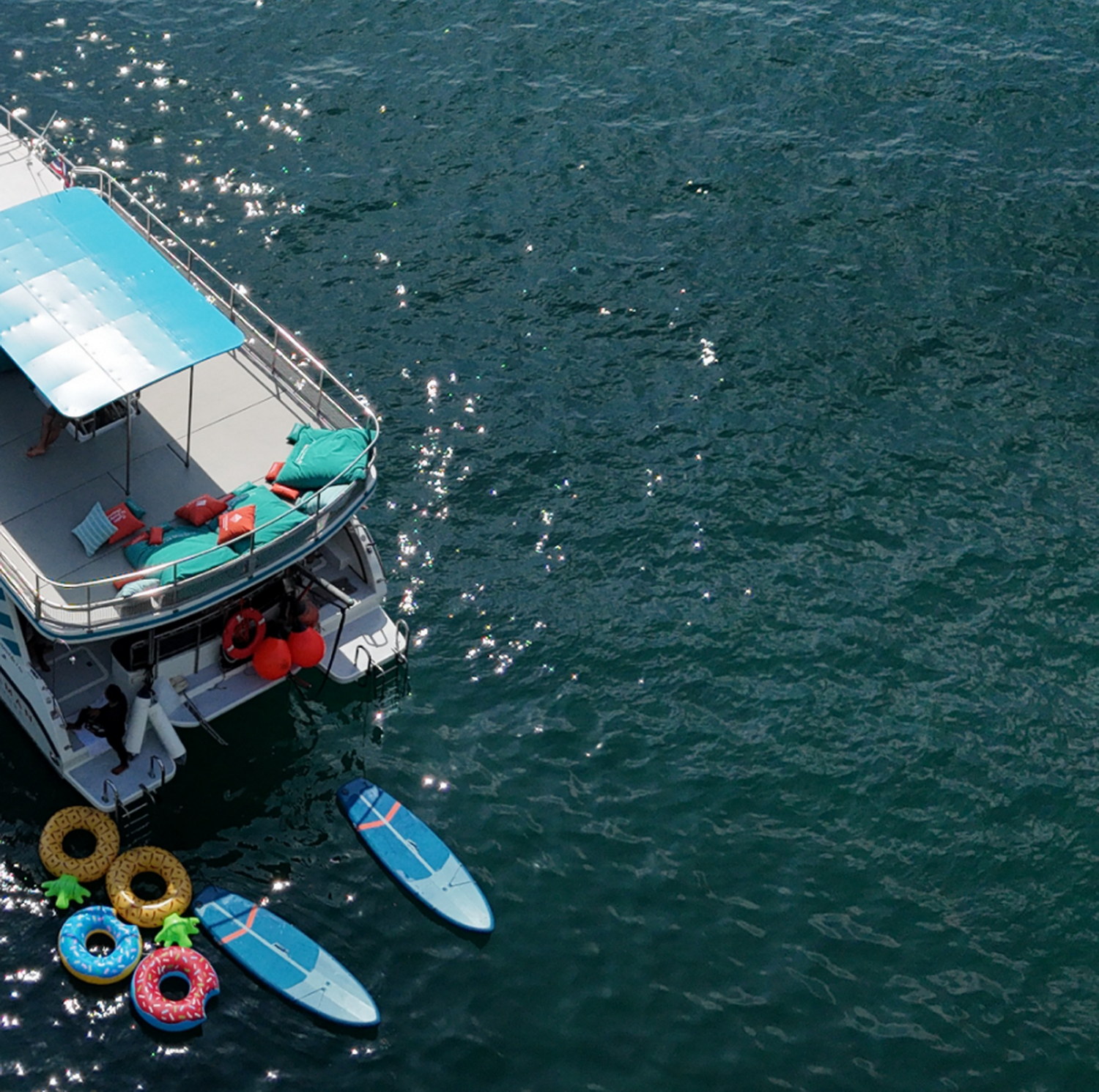 Private Charter Kygo Avici - 4