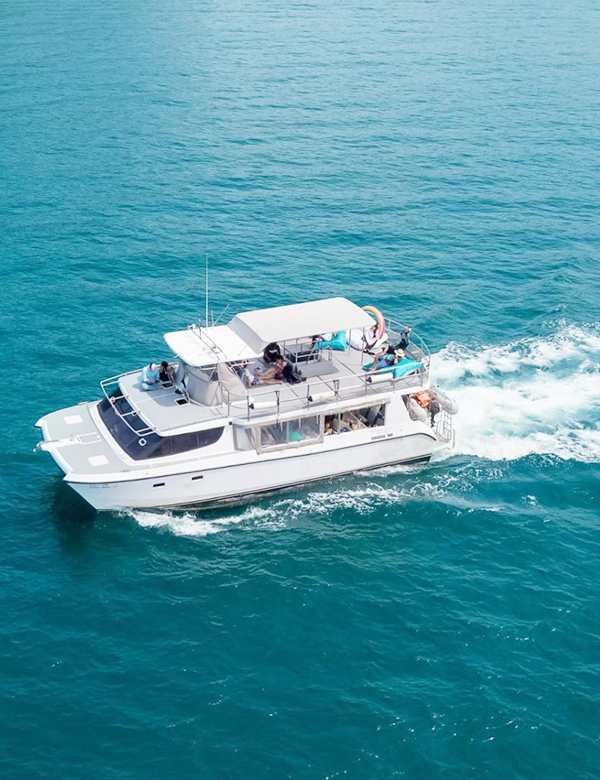 Private Charter Kygo Avici - 2