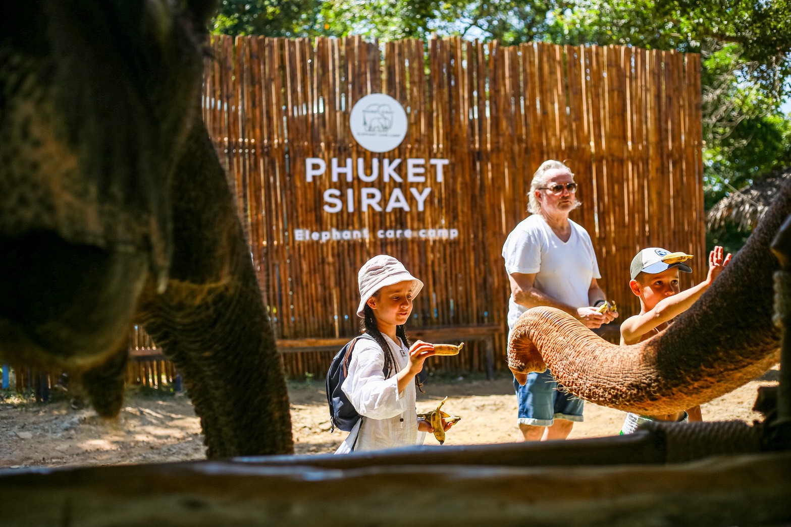 Feed and Care (Shared Program)