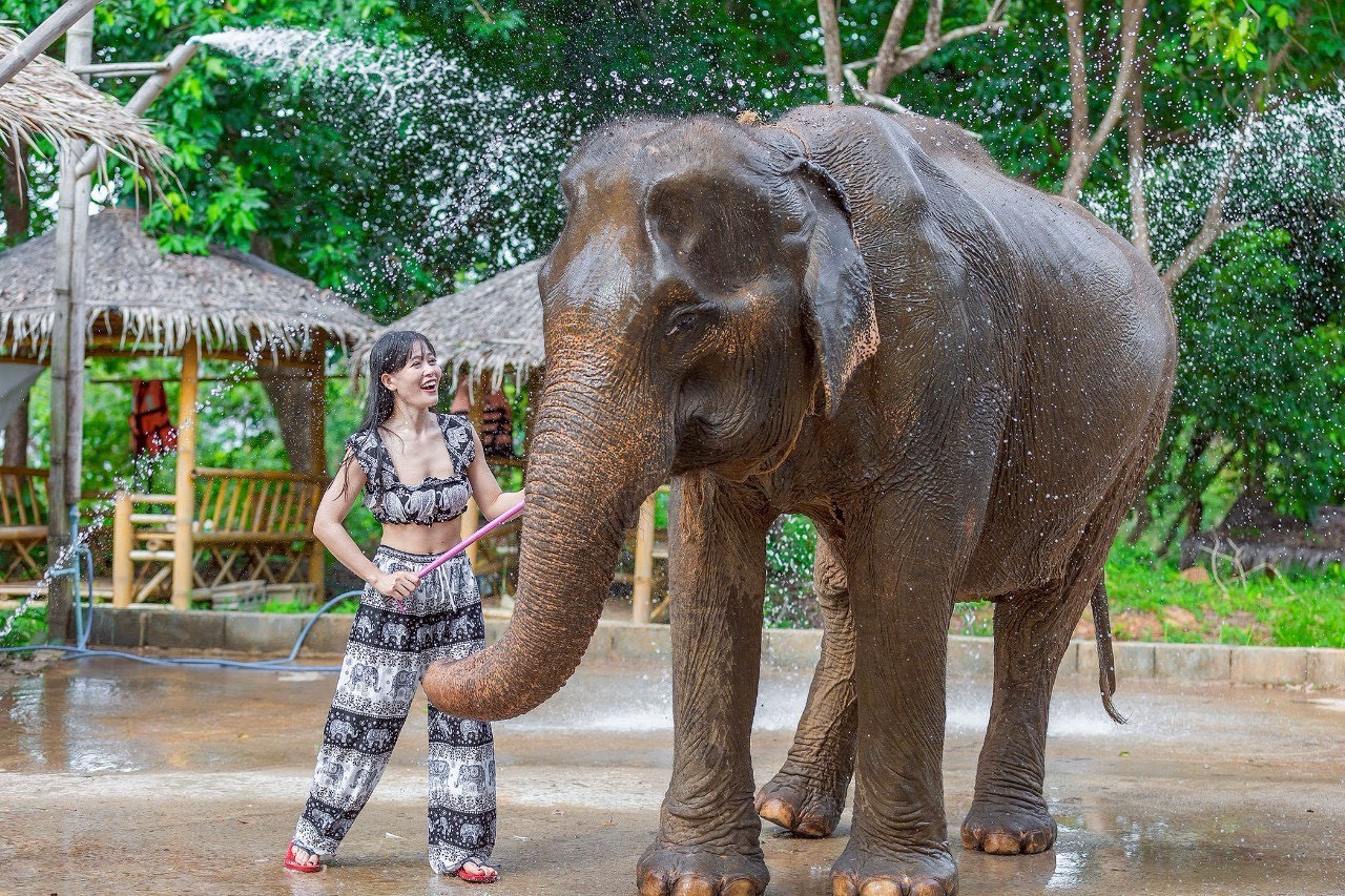 Feed & Rain Shower with Elephants (Shared Program)